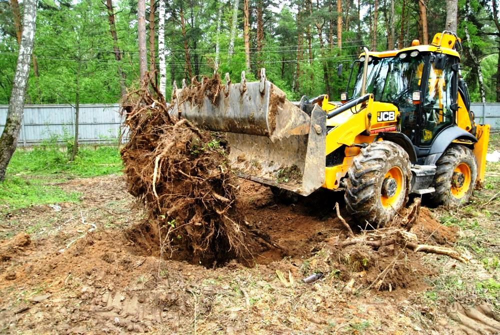 Выкорчевывание кустарников Выкорчевывание кустарников
